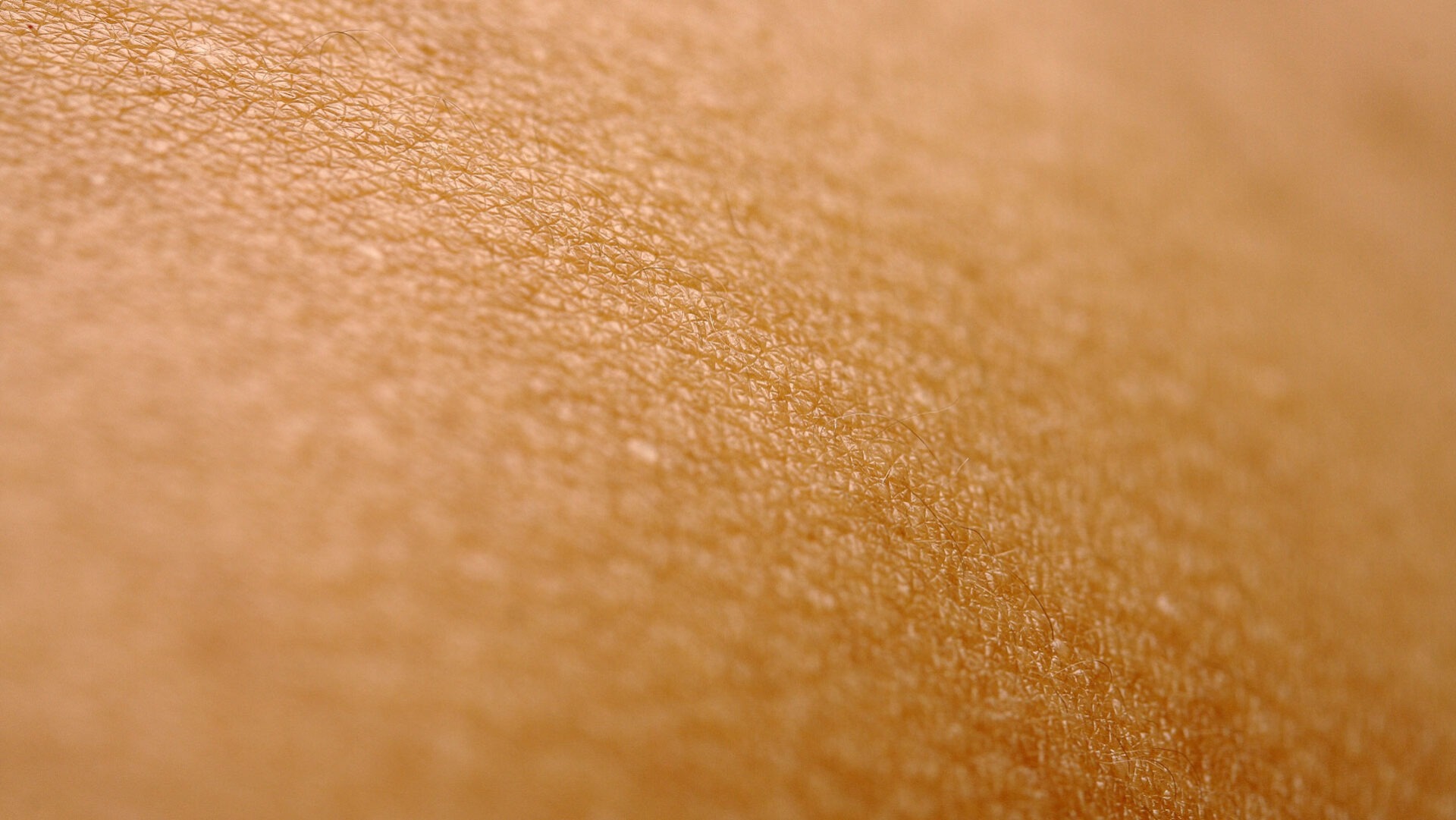 Haut Detail
